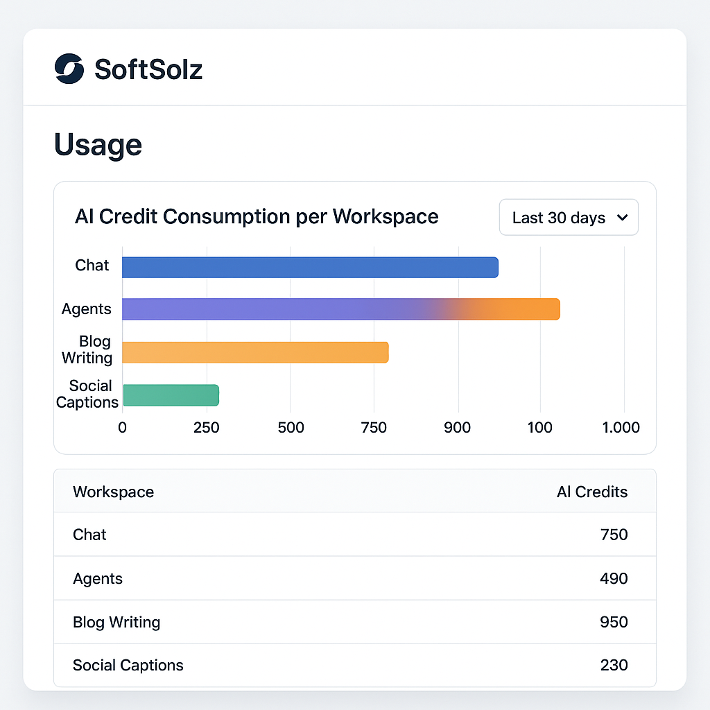 SoftSolz AI usage screen showing credit consumption per workspace.