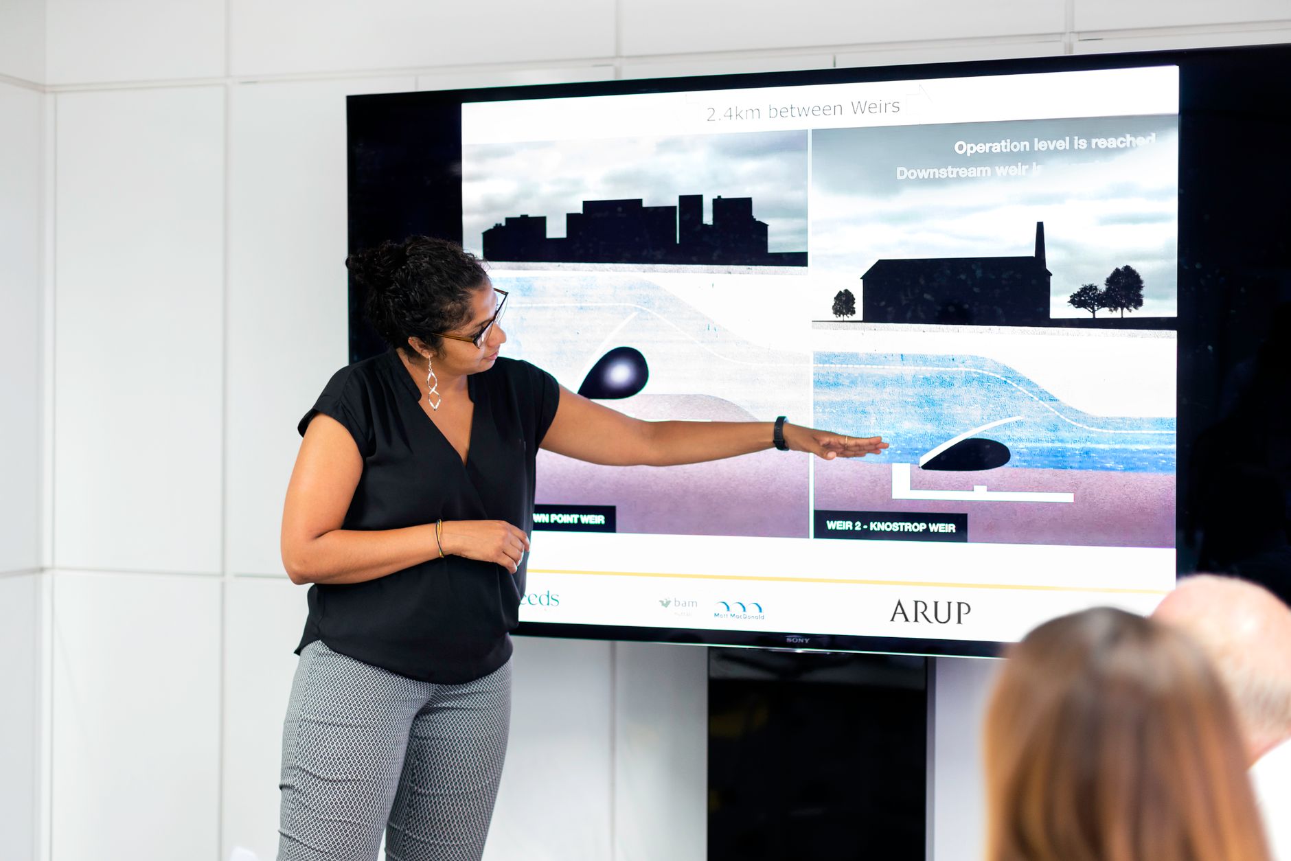 Consultant presenting project-based fee model to a client.